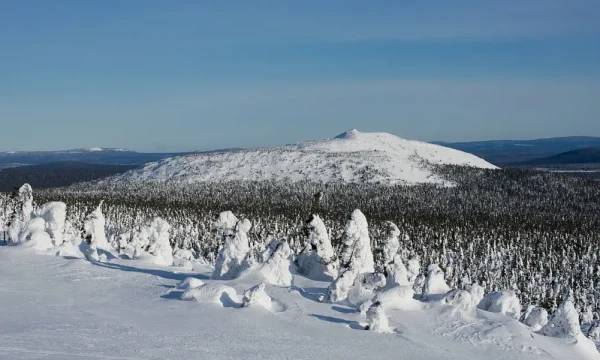 Не вернулись на базу в назначенное время: в Пермском крае на горе Ослянка пропали 13 туристов