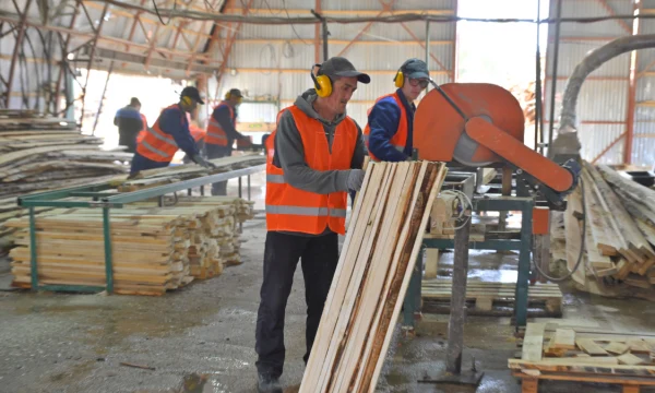 Благодаря регподдержке компания «Горизонталь» развивает производство в Кизеле